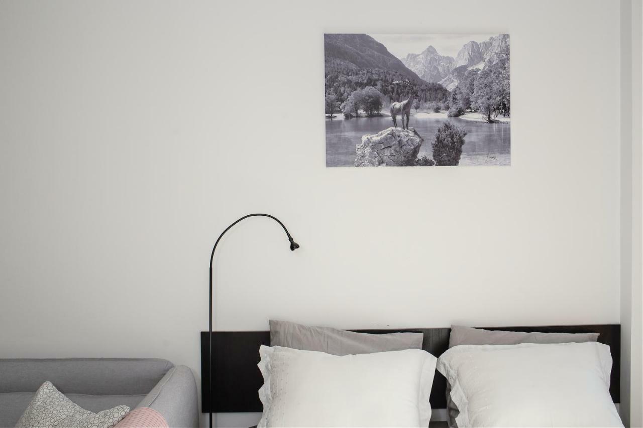 Apartment Obsidian 克拉尼斯卡戈拉 外观 照片
